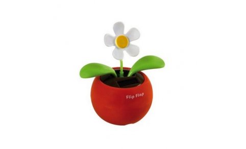 35115 HAPPY GARDEN_DAISY