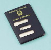 65332 PERSONAL IDENTIFICATION CARD HOLDER